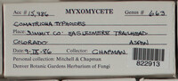 Image Associated With the Occurence